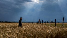Romania’s Biodiversity Law Ignites a Political and Economic Storm